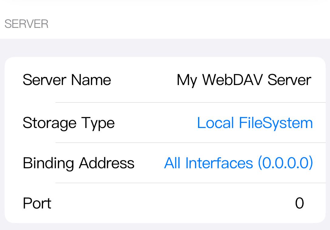 The Local FileSystem form only needs the common server fields.