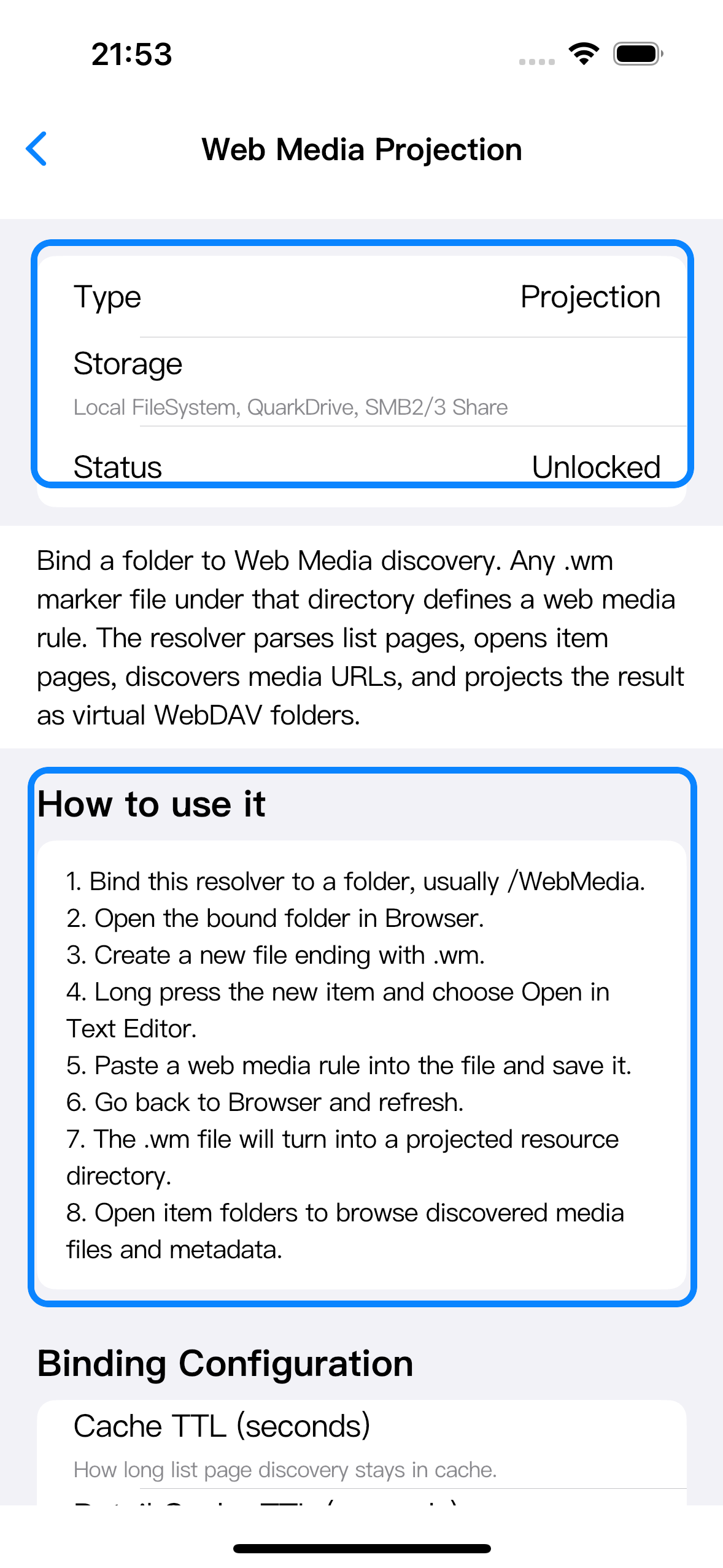 Web Media Projection resolver detail with status, storage support, and the usage summary highlighted.