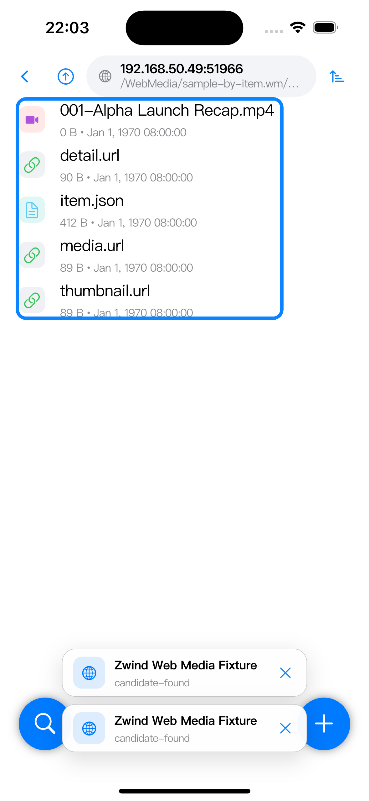 An item folder showing the discovered MP4 file plus item metadata and URL helper files.